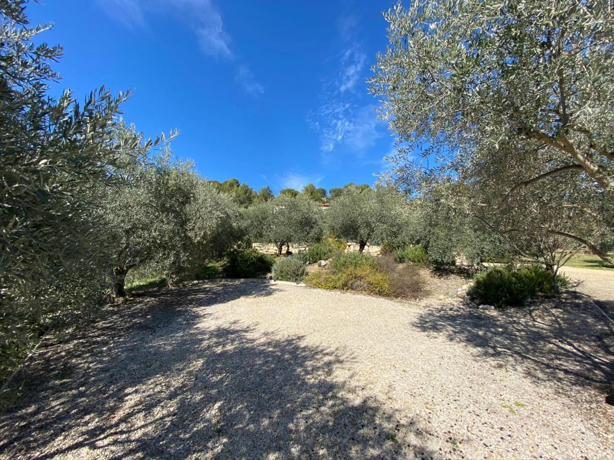 Gite La Maison Dans L'Olivette Oraison Εξωτερικό φωτογραφία