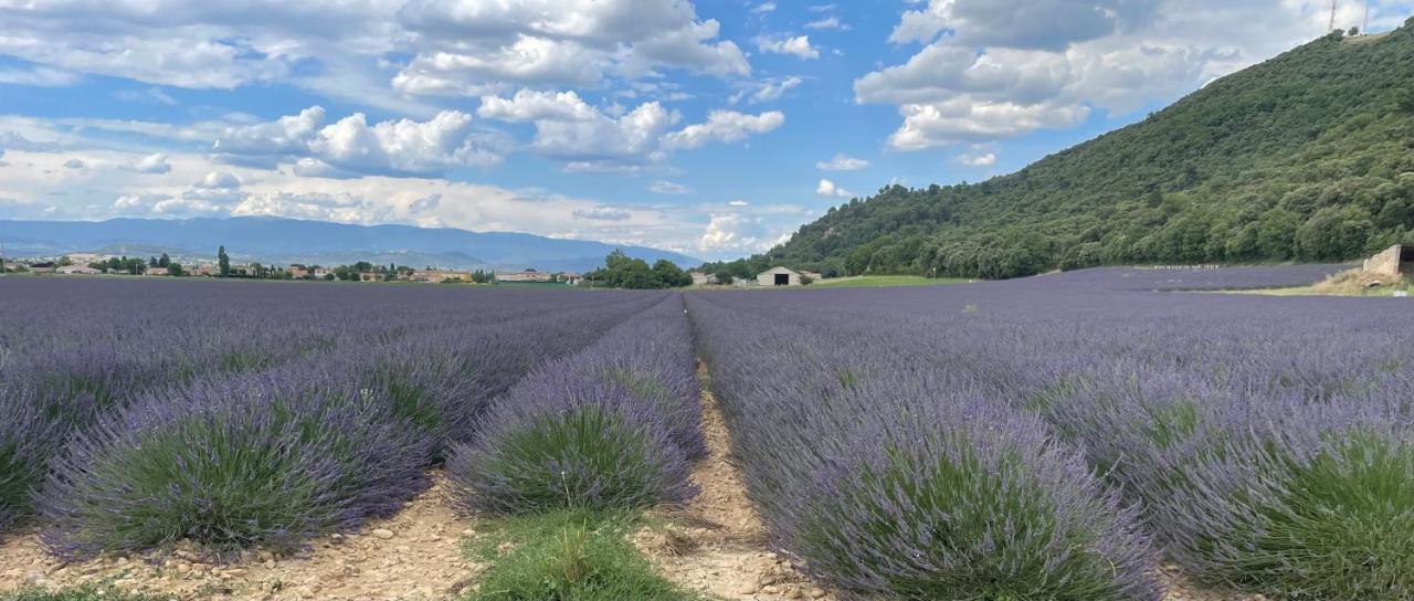 Gite La Maison Dans L'Olivette Oraison Εξωτερικό φωτογραφία